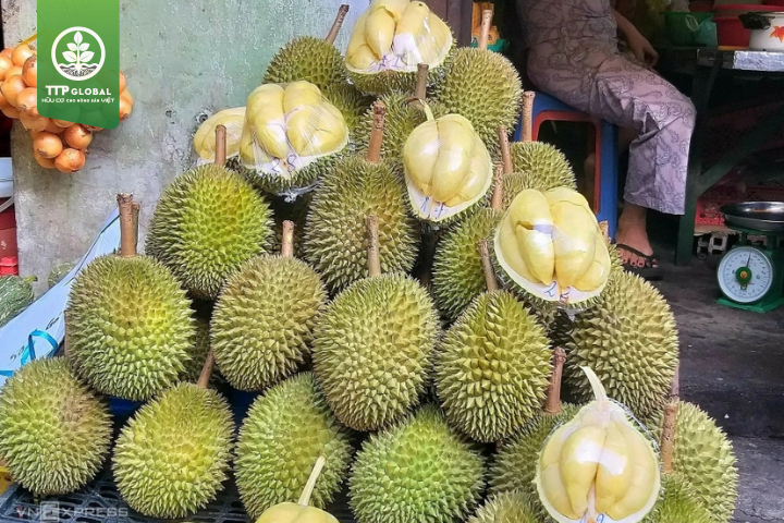 Thời gian ra trái của một số loại sầu riêng phổ biến