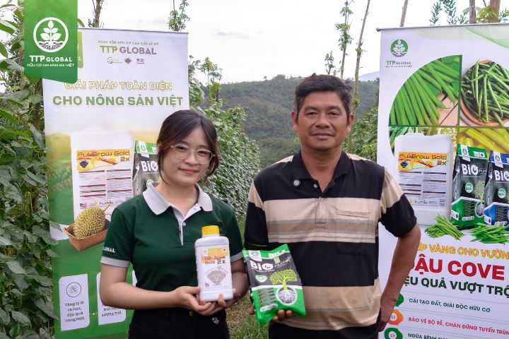 Giải pháp hữu cơ cho vườn đậu cove xanh mướt, năng suất cao