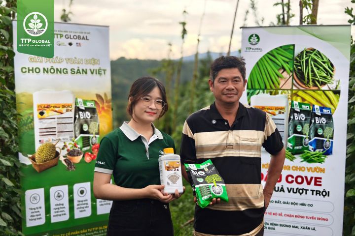 Thực trạng trồng đậu trước khi áp dụng phân bón hữu cơ