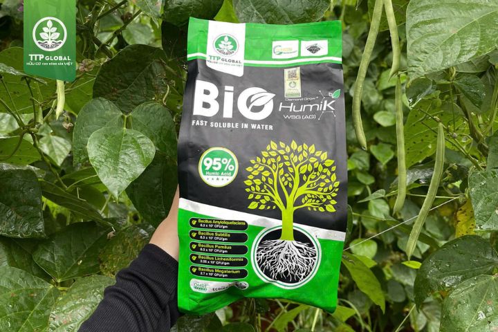 Bộ đôi Humic Bio và Ful Grow Gold 2X