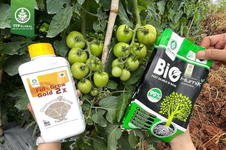 Giải pháp từ bộ đôi Humic Bio và Ful Grow Gold 2X