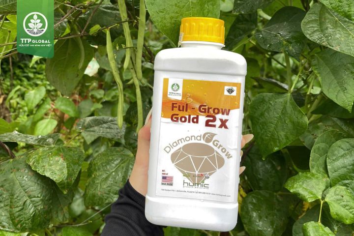 Bộ đôi Humic Bio và Ful Grow Gold 2X